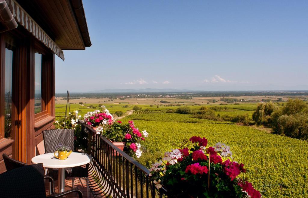 Hotel Restaurant Au Riesling Зеленбер Экстерьер фото